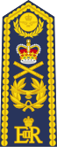 Brytyjski RAF OF-10 (ceremonialny naramiennik) .svg
