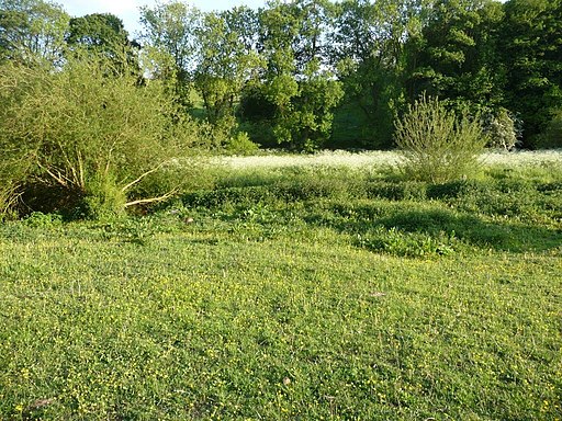 Brockadale meadow - geograph.org.uk - 1892741