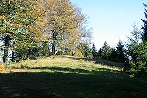 View to the Burgberg summit