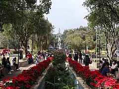 Burnham Park Rose Garden with city hall view