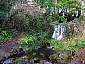 Bushy Park, Dublin -146497 (46427165412).jpg