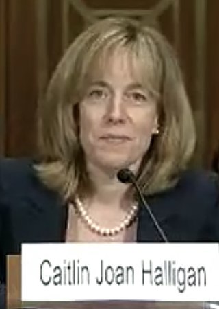 <span class="mw-page-title-main">Caitlin Halligan</span> American judge