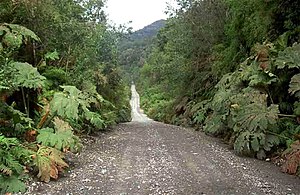 Carretera Austral.jpg