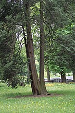 Third May Park in Częstochowa, Poland