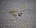 Akureyri, Iceland