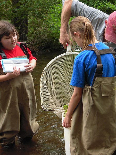 File:Checking nets for species (4741790857).jpg