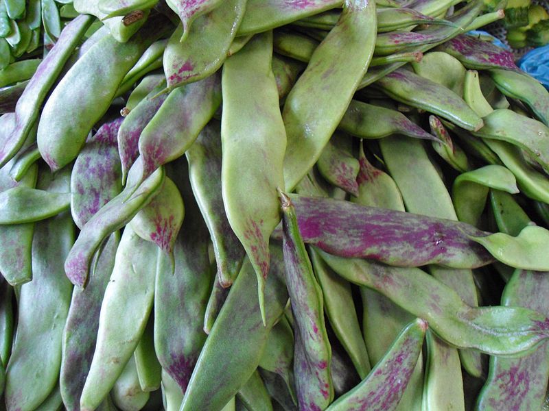 File:Chinese vegetable 025.jpg