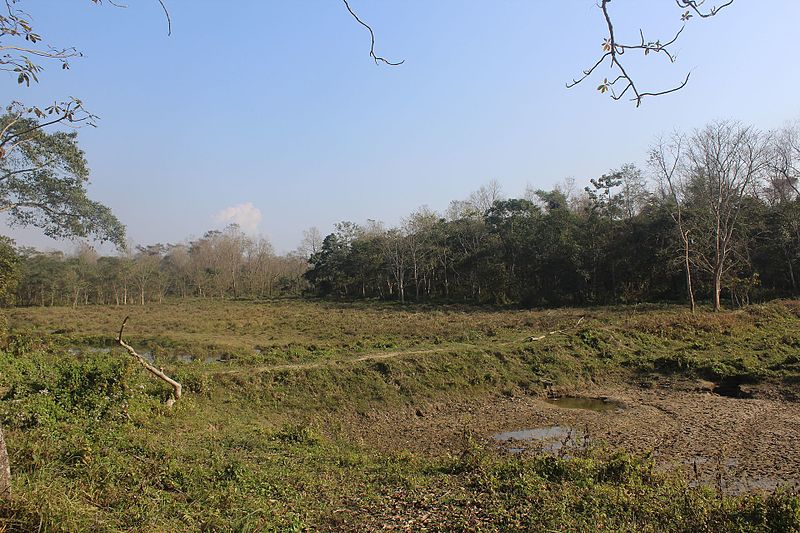 File:Chitwan National Park (CNP).jpg