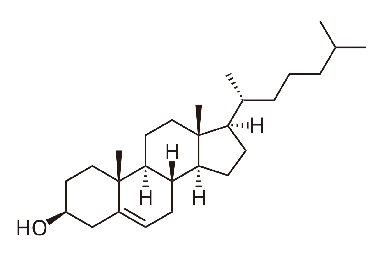 Cholesterol - Wikipedia