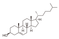 Lo colesteròu, un exemple de lipid