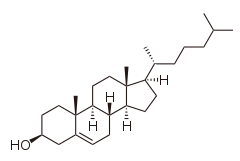 Chemical structure of cholesterol