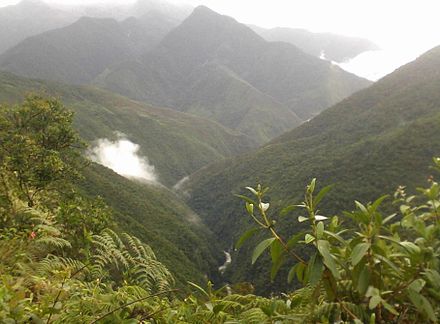 Choro-Trail in the middle of the way, view