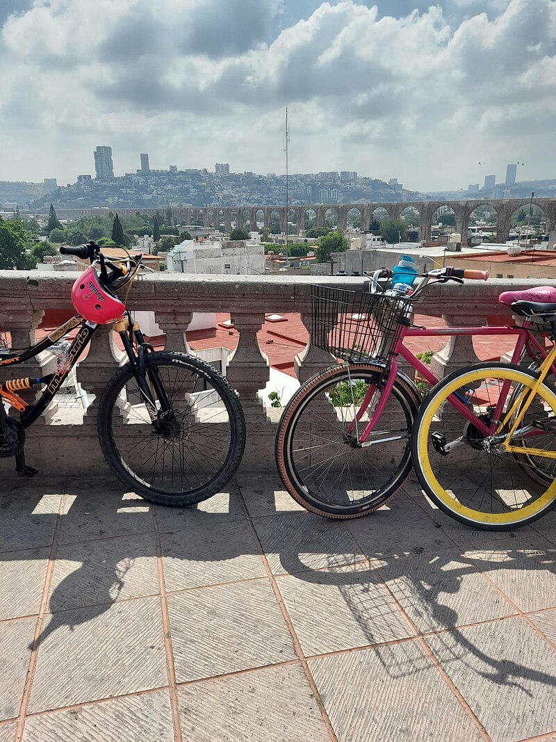 Bicicletas de montaña, carretera y paseo: la alternativa más sostenible  para desplazarte