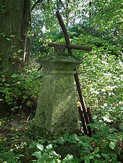 قبرستان در Kamień-Kolonia