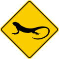 SP-49 Lizard crossing