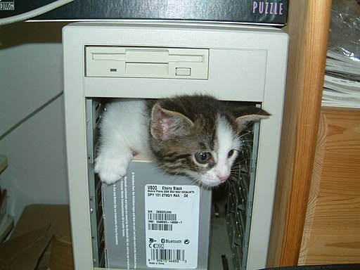 Computer-kitten