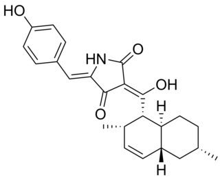Conipyridoin E Chemical compound