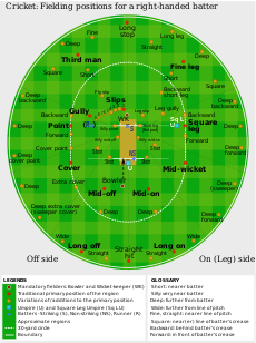 Cricket fielding positions2.svg
