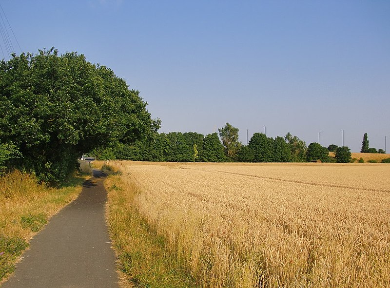 File:Cycle path along the north side of Eton South Field - geograph.org.uk - 3569173.jpg