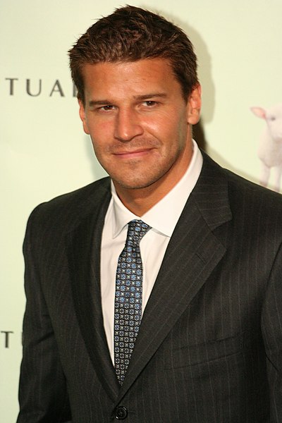 File:David Boreanaz.jpg