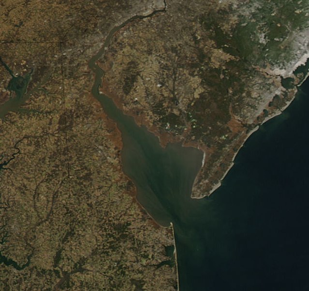 File:Delawarebaymodis.jpg