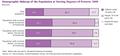 Bar graph of the Demographic Makeup of the Population at Varying Degrees of Poverty in the United States 2009. 18 or younger , 18-64, 65 and older (p19)