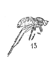 upright=1.1 alt=Description de cette image, également commentée ci-après