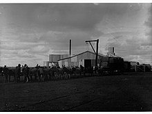 Donkey team carting wool bales at Wooltana Sheep Station, ca. 1915 Donkey team carting wool at Wooltana Sheep Station(GN13934).jpg