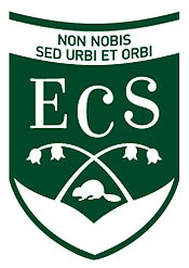 ECS logosu.jpeg