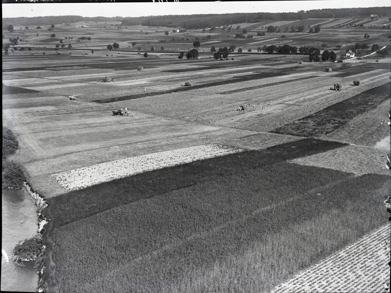 File:ETH-BIB-Heuet im Aaretal, Grosses Moos-Inlandflüge-LBS MH01-006762.tif