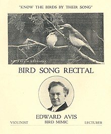 Promotional brochure of "Edward Avis" c. 1920 Edward Avis.jpg