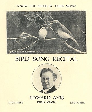 <span class="mw-page-title-main">Edward Avis</span>