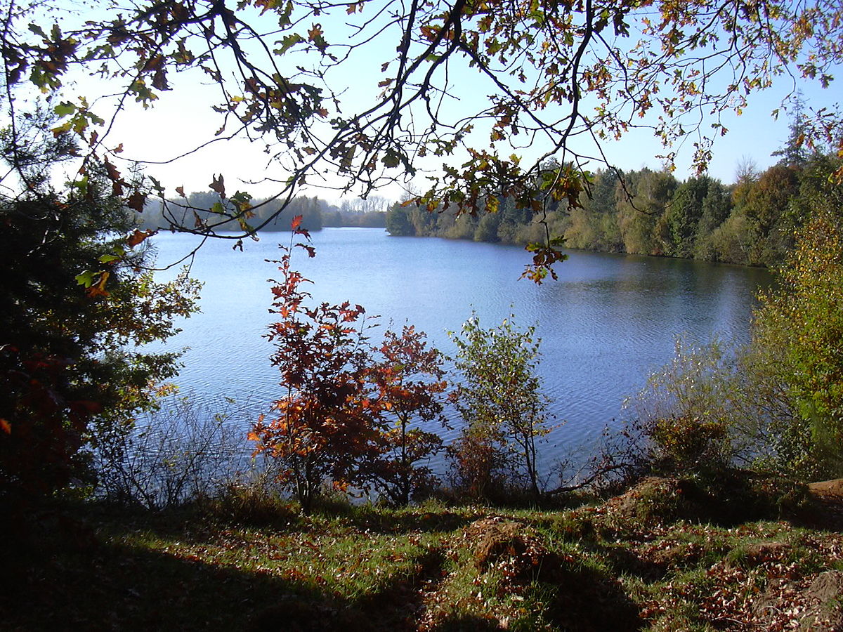 Datei Effelder Waldsee Jpg Wikipedia