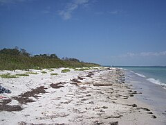Looking north along eastern beach of Egmont Key.
