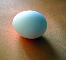 [2] ein Ei