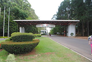 <span class="mw-page-title-main">University of Passo Fundo</span>