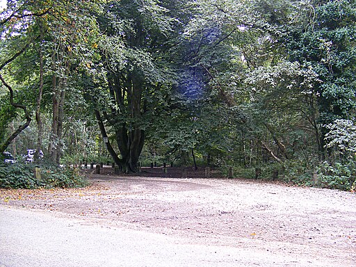 Entrance to the Car Park ^ Picnic area at Houghen Plantation - geograph.org.uk - 3677109