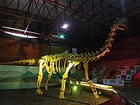 List Of South American Dinosaurs