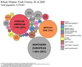 Ethnic origins in Cook County Ethnic Origins in Cook County, IL.png
