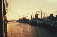 Abendstimmung im Bremer Überseehafen mit dem Blick die Weser abwärts (1959)