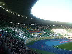 Sk Rapid Wien: Geschichte, Plätze und Stadien, Vereinsstruktur