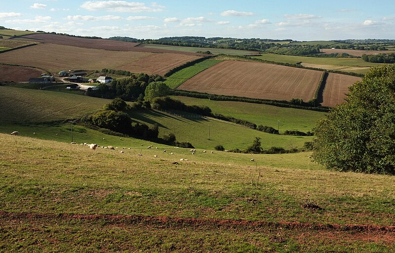 File:Farmland near Whiddon Farm - geograph.org.uk - 5919216.jpg