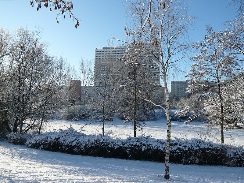 File:Fennpfuhlpark Winter Januar 09 43.JPG