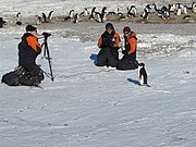 動物撮影の一例。南極の寒い環境での、ペンギンとペンギン学者の撮影