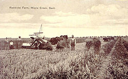 Harvest Maple Creek Fjeld1a.jpg