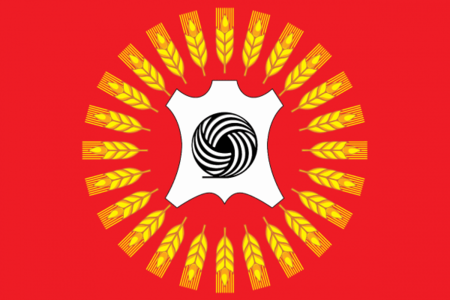 Flag of Rasskazovo (Tambov oblast).png