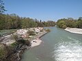 Flaucher und die Isar