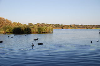 Fleet Pond