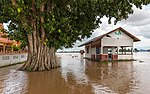 Gambar mini seharga Berkas:Flooded building and tree trunk in the muddy water of the Mekong in Si Phan Don, Laos, September 2019.jpg