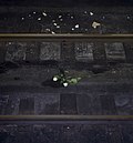 モスクワ地下鉄爆破テロ (2010年)のサムネイル